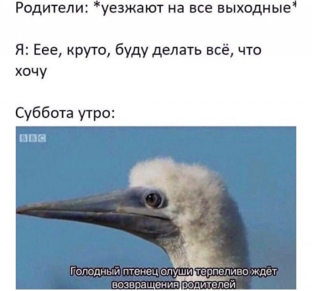 Калейдоскоп Картинок