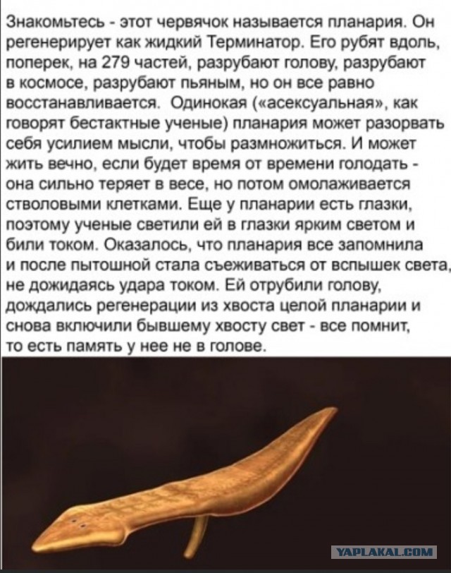 Бредзона 05.01.20