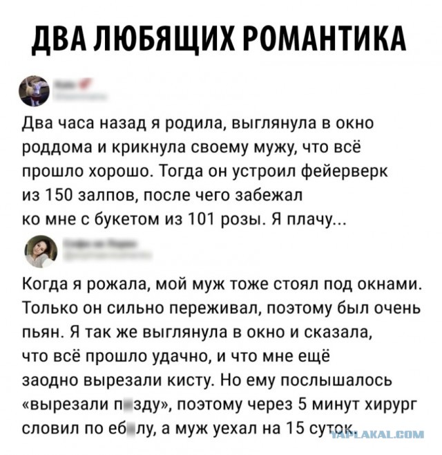 Немного картинок для настроения 11.02.20