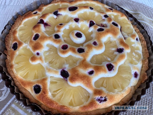 Абрикосово-творожные пирожные