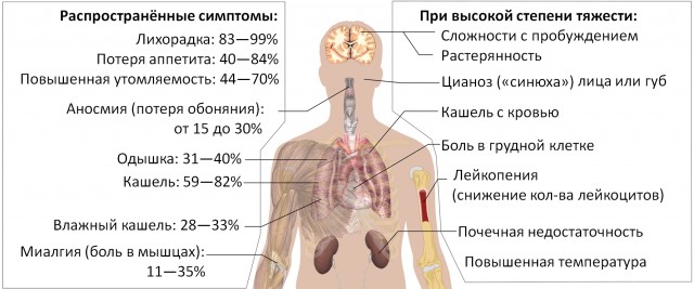 КОВИД-19 и его встроенный тест