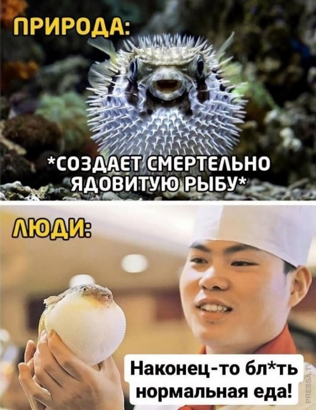 Картинки и мемы для настроения 023