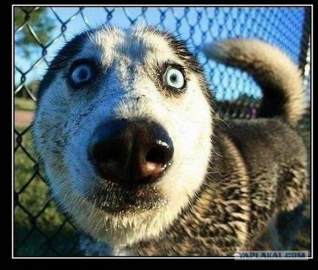 -Люблю дождь, грозу, это прекрасно.