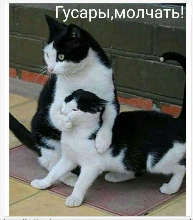 Жительница Иркутска не стригла волосы 23 года и показала результат