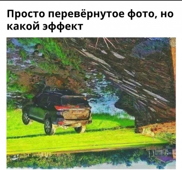 Всякие картинки,  но больше куаркодная и политота