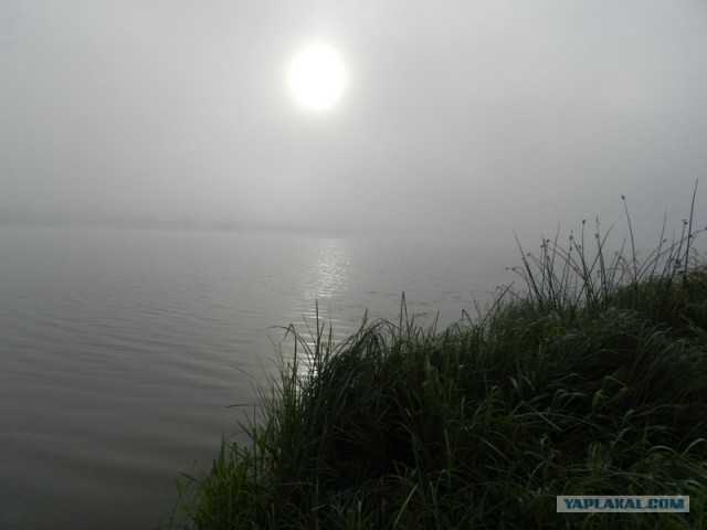 Рыбалки псто