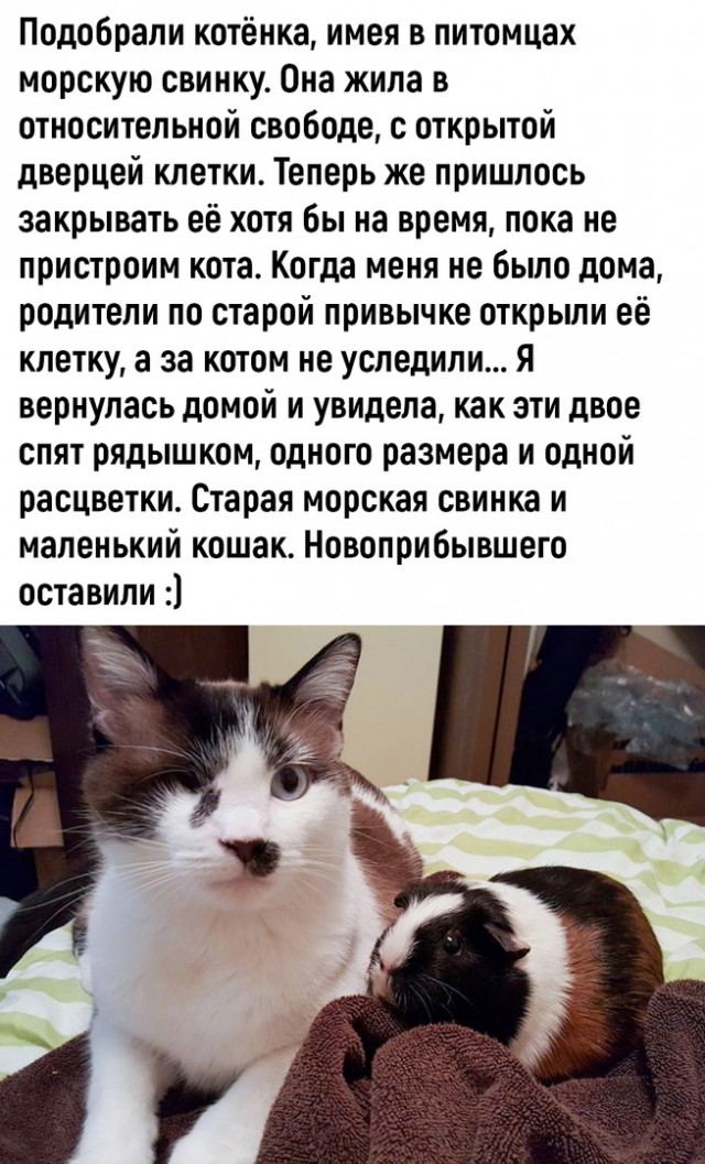 Так себе картинки 02.10.22