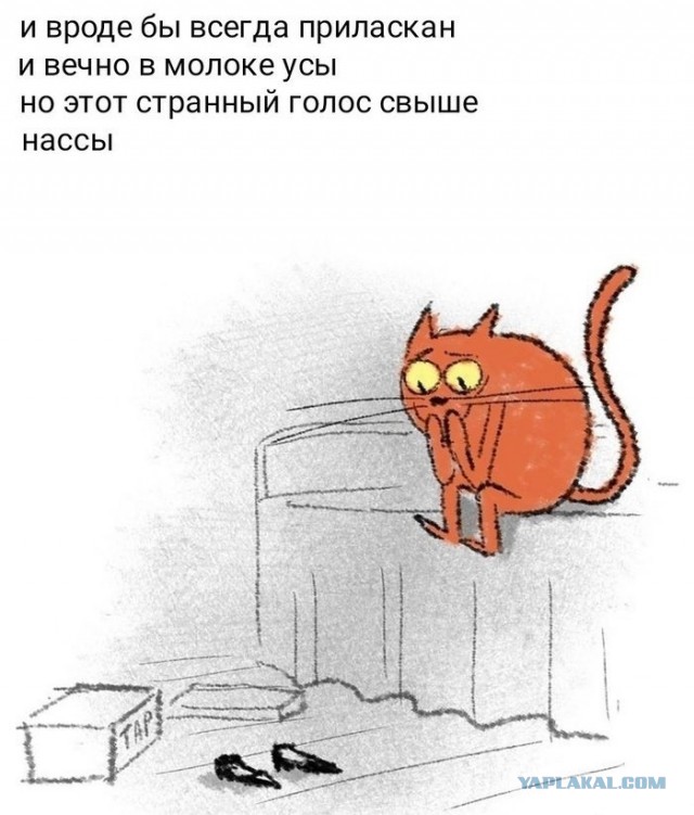 Котоюмор на ЯП. Веселые кото-картинки!