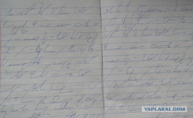 Нужен толмач с докторского