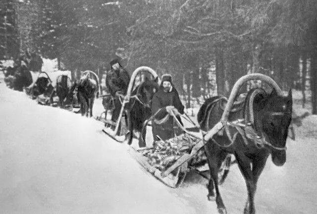 Республика Тыва передаст в войска РФ 3 000 лошадей