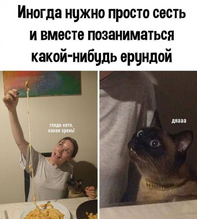 Картинки и мемы, всем хороших выходных