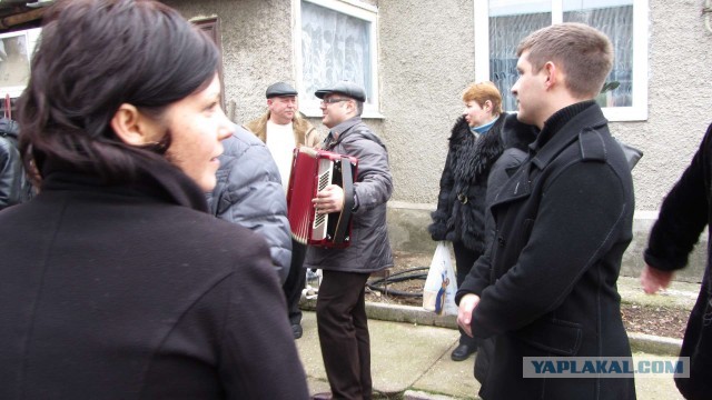 Крым в феврале или "Не стреляйте в белых лебедей!"