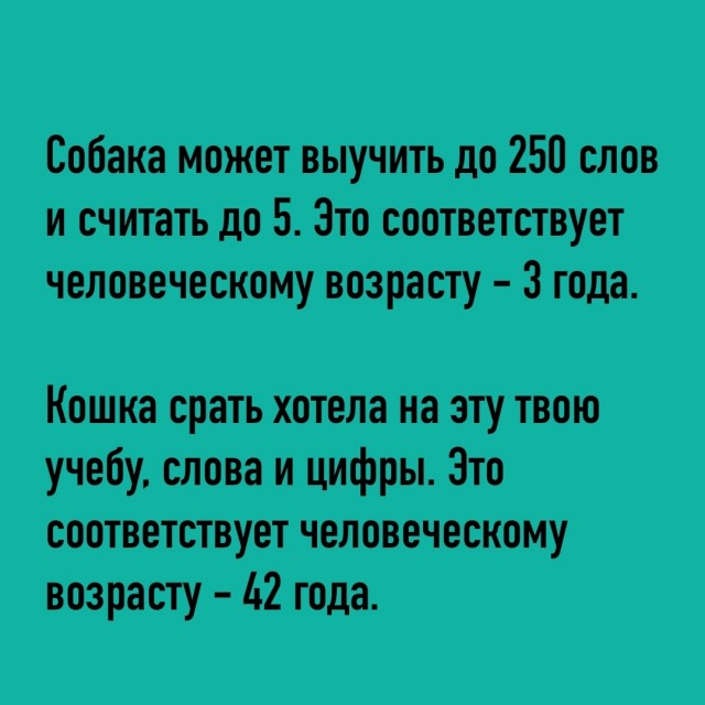 Так себе картинки 14.06.23