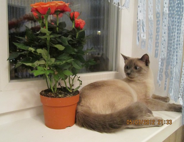 Гроза района