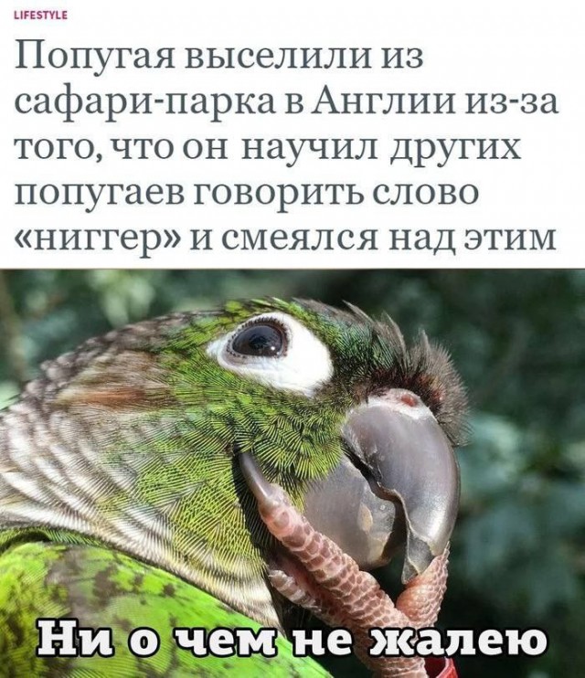 Всего понемногу. От 01.12.23