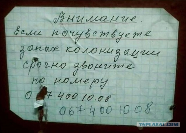 Забавные комментарии из социальных сетей (11.03.24)