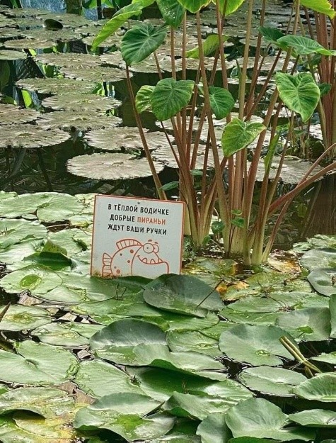 Дело было вечером