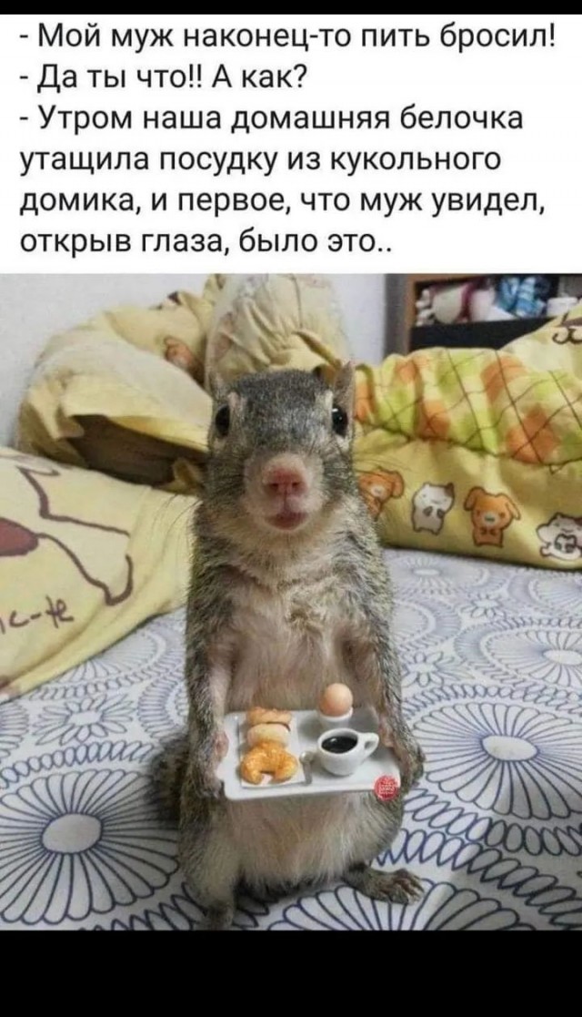 Завалялось тут случайно немного забавных картинок