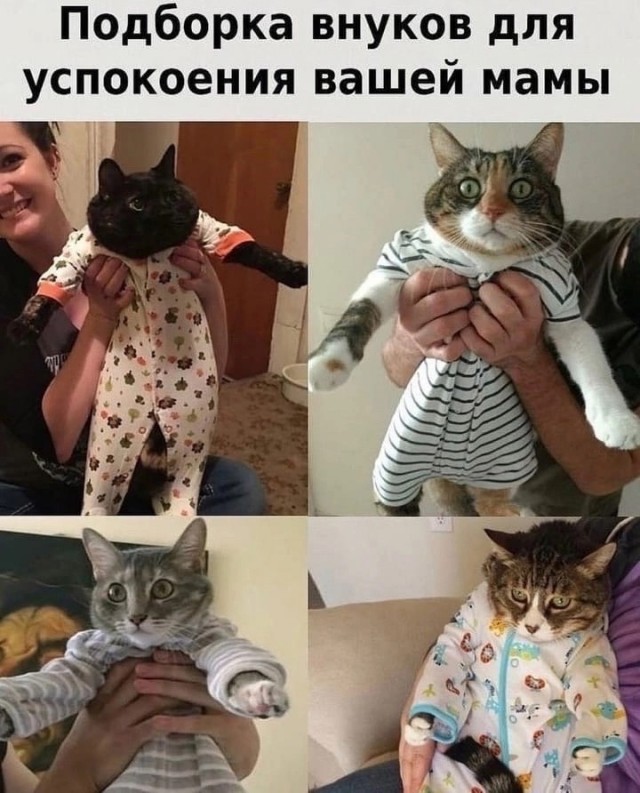 Прикольные и просто красивые картинки 08.11.2024