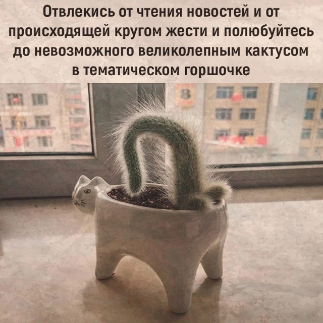 Так себе картинки 20.11.24