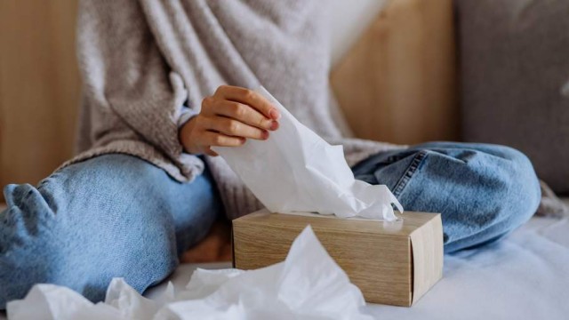 Сезон аллергии начнётся раньше срока из-за аномально тёплой зимы