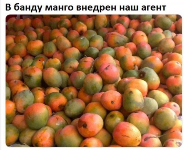 Так себе картинки 14.02.25