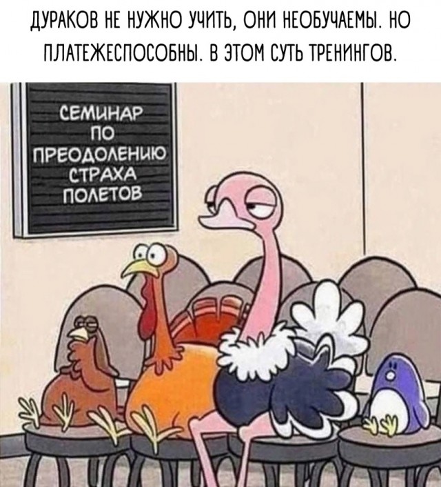 19828774.jpg