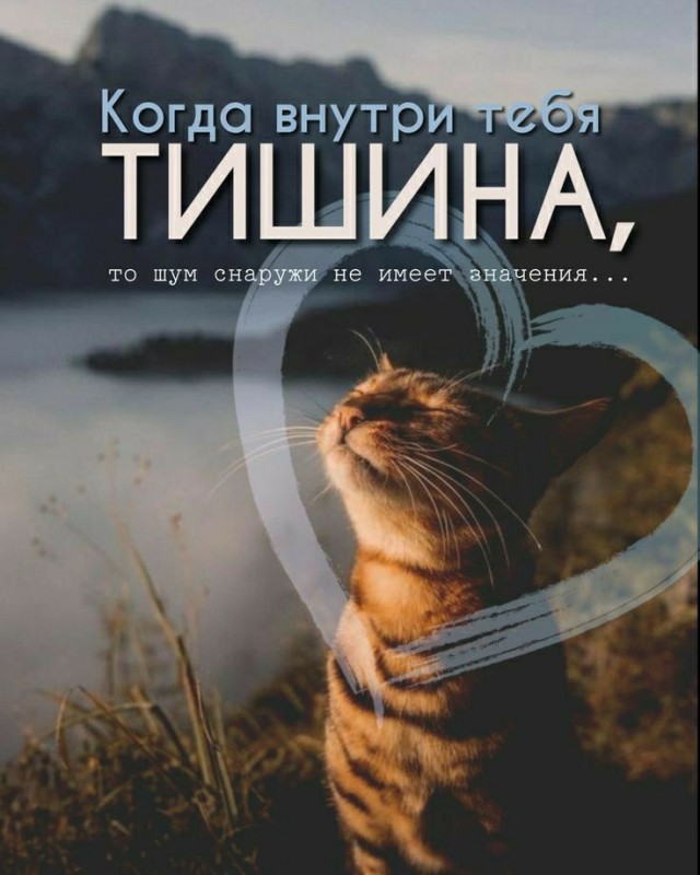 Прикольные и просто красивые картинки 04.03. 2025