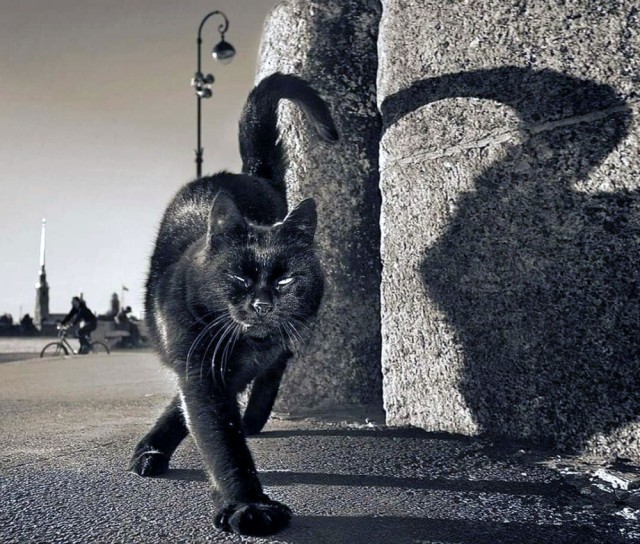 ​ Фотографии из прошлого нашей страны – 101
