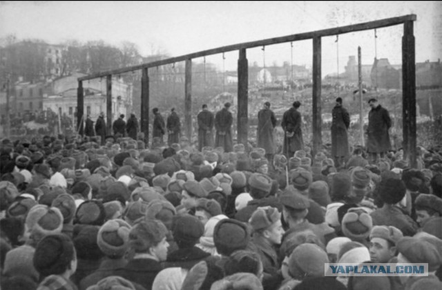 Путин предложил 15-го мая встречу в Стамбуле для переговор по мирному плану