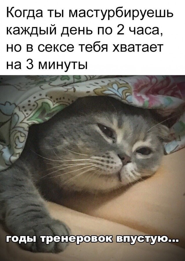 Немного мемчиков. Для взрослых. Часть 37