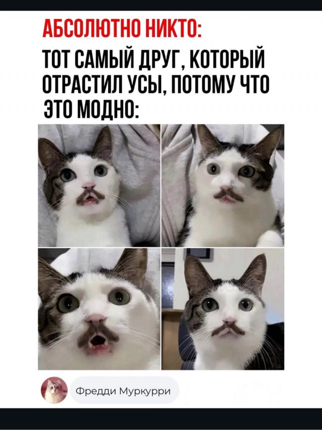 Картинки маленькой пятницы