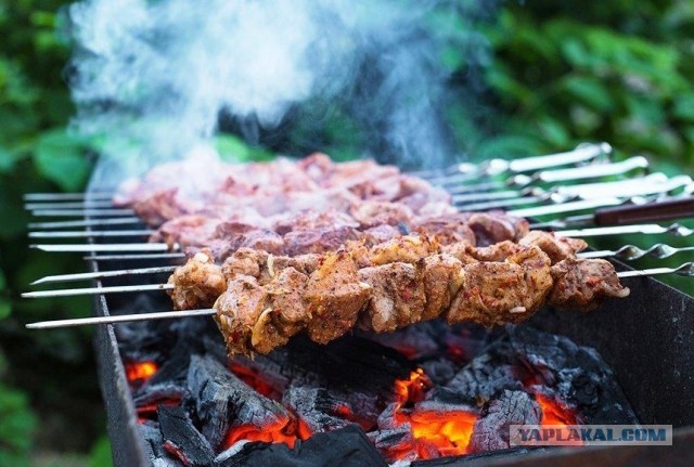 Очень люблю шашлык и ничего поделать с этим не могу