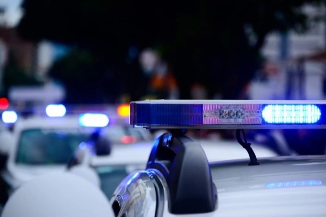 В Германии ищут обладателей 35 зубов, найденных на тротуаре