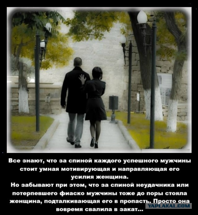 Картинки для деградации 168 (разной степени свежести)