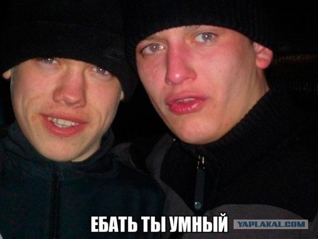Сегодня я узнал, кто такой ТС?