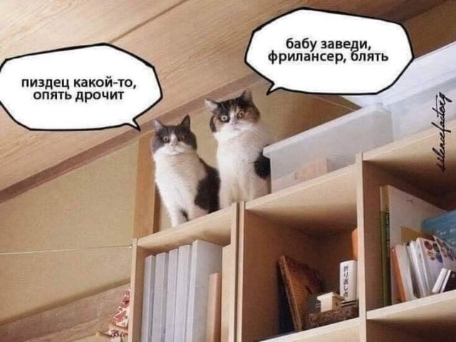 Анатоле «порно-сомелье»