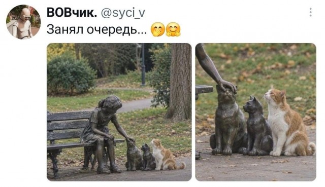 Картинки для деградации 307 (разной степени свежести)