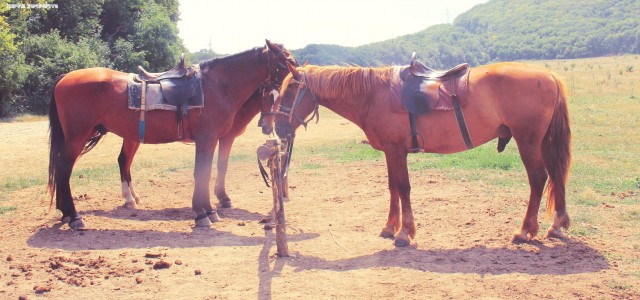 Крым: Судак и окрестности