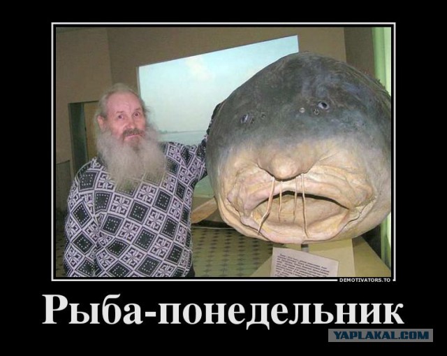 Сово-понедельнег