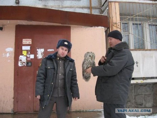 Письмо?
