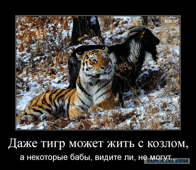 Демотиваторы на субботу