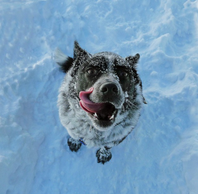 Подборка картинок 29.02.16