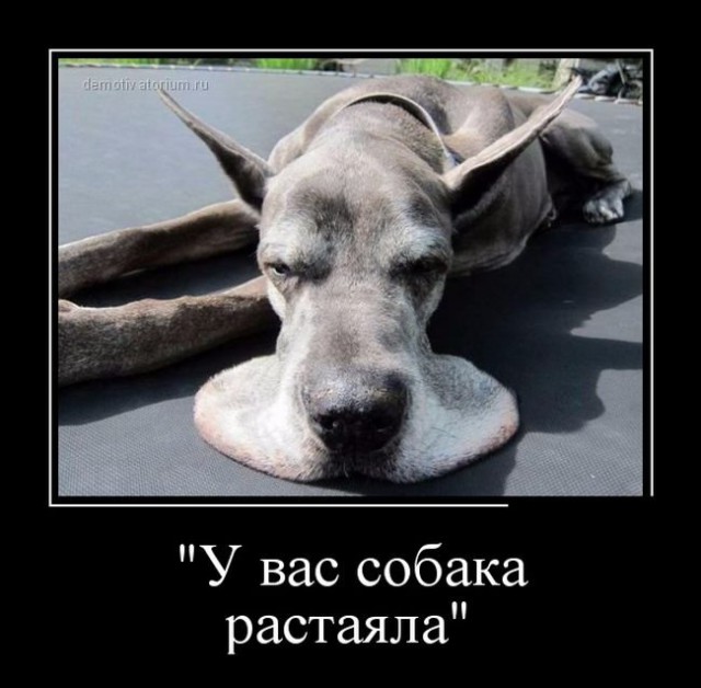Смешные картинки