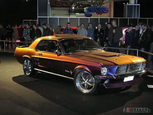 Ford Mustang (3 фото)