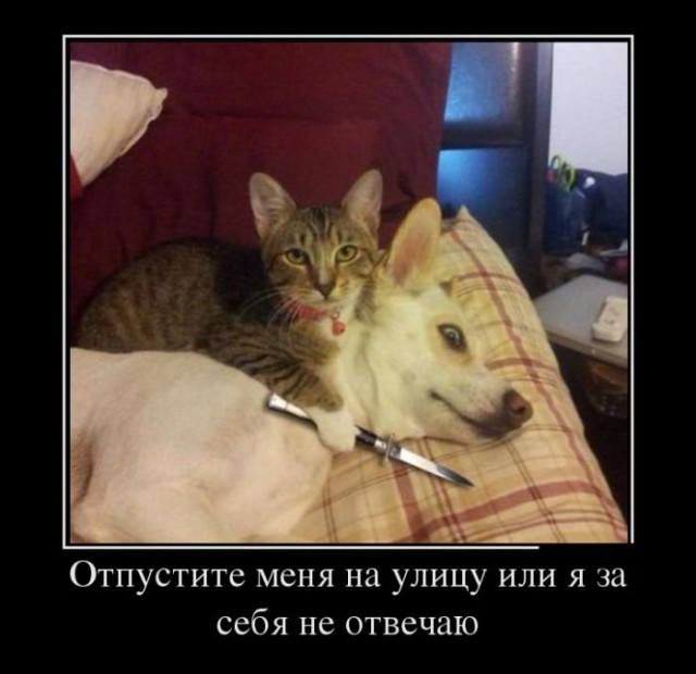 Всякое-разное из сети