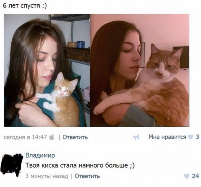 Подборка безудержного веселья