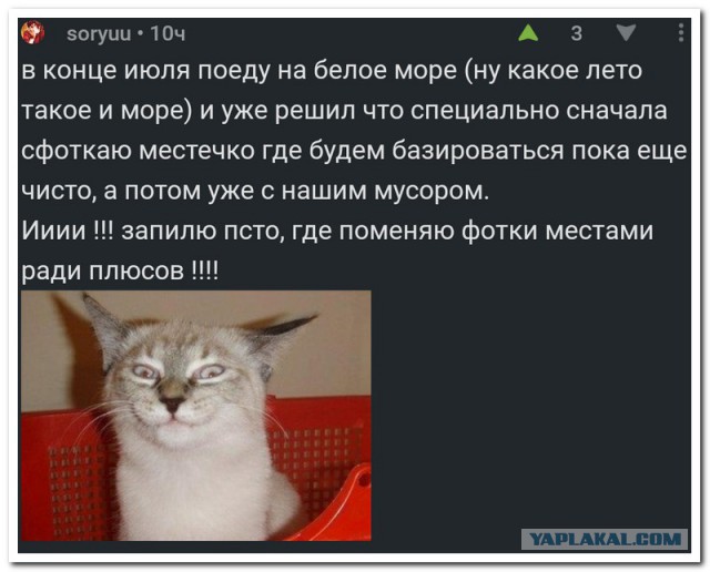 Смешные комментарии из социальных сетей 21.07.2017