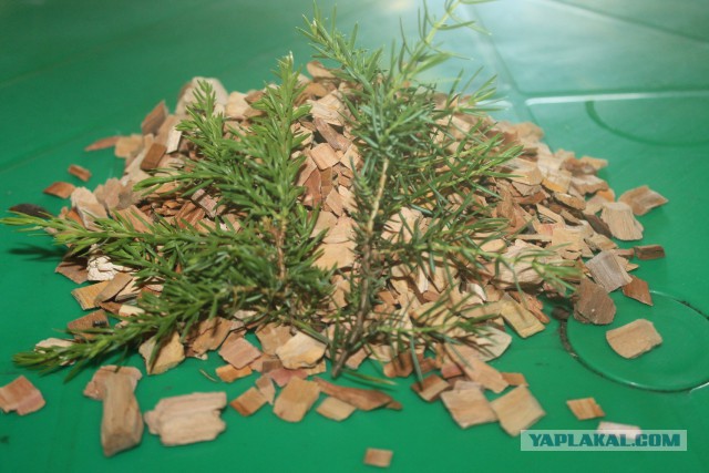 Летнее окрыление!