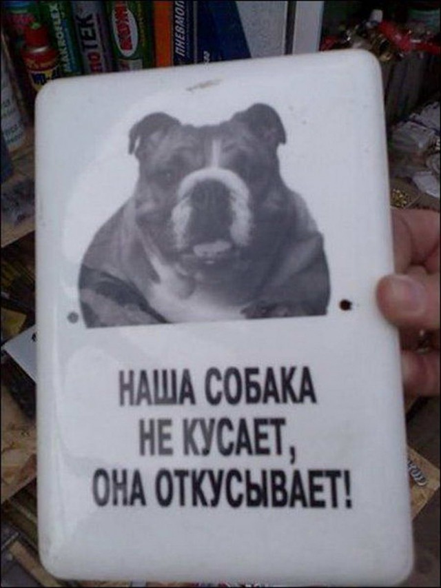 Подборка интересных и веселых картинок